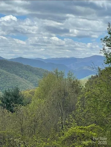 0000 Jerome Lane, Leicester, NC, 28748