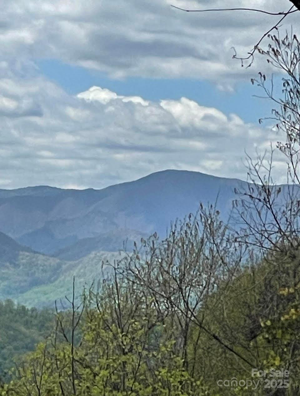 0000 Jerome Lane - Photo 3