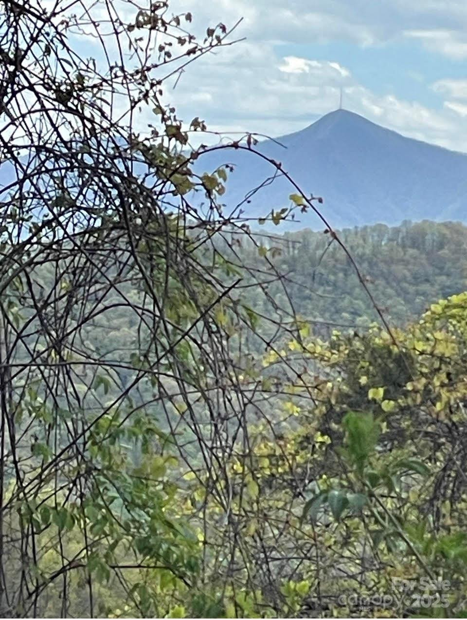 0000 Jerome Lane - Photo 4