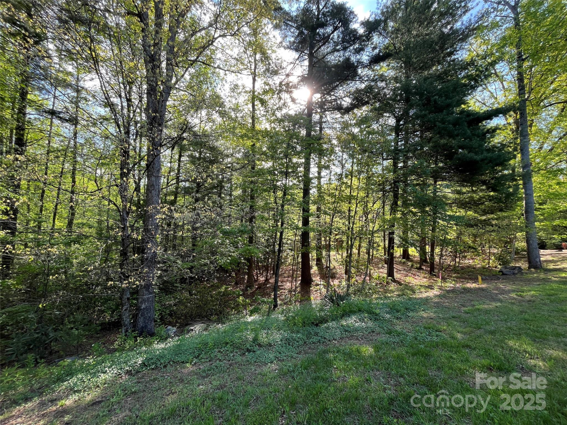 305 Freedom Trail Court #46 - Photo 2