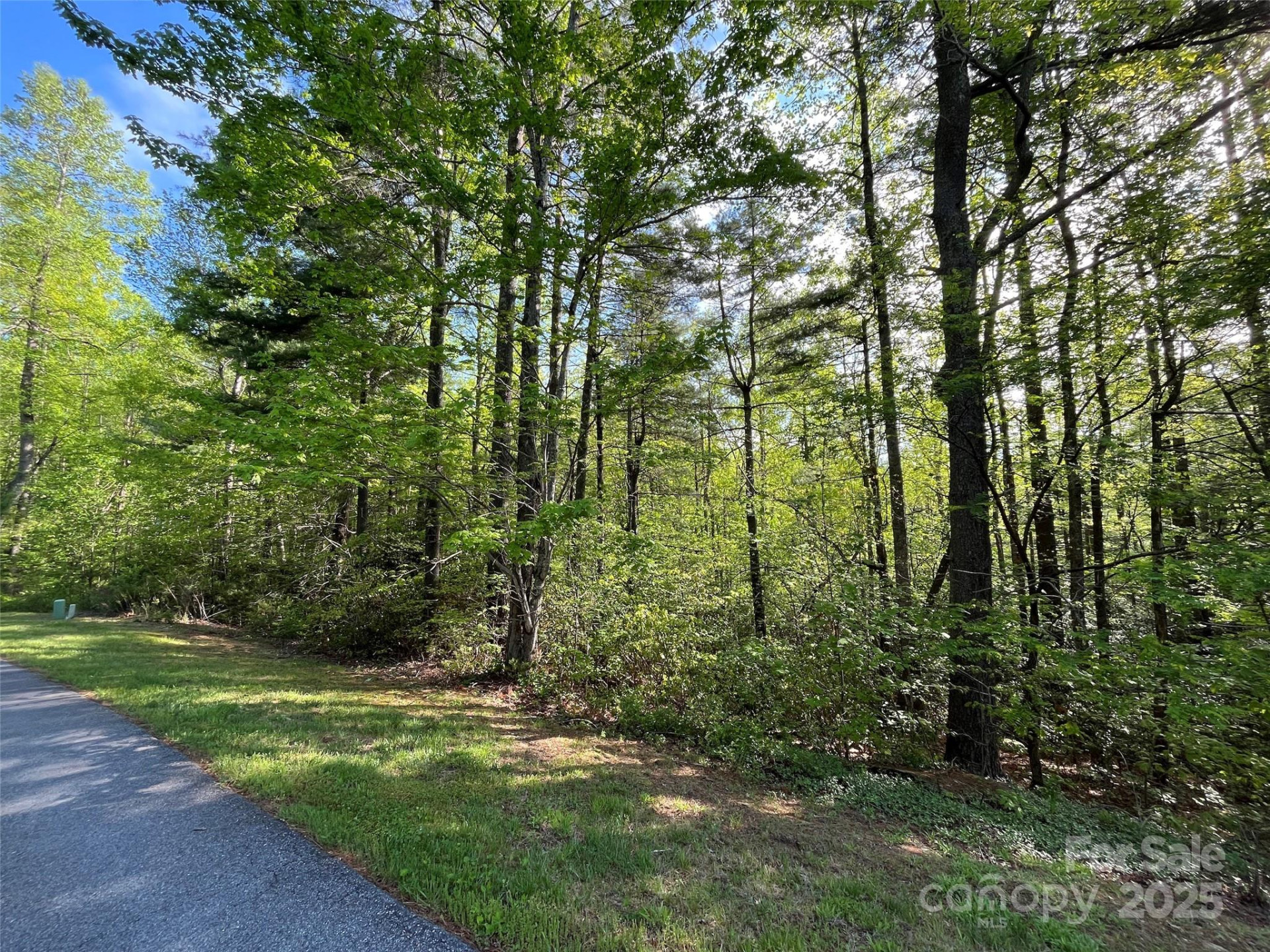 305 Freedom Trail Court #46 - Photo 3