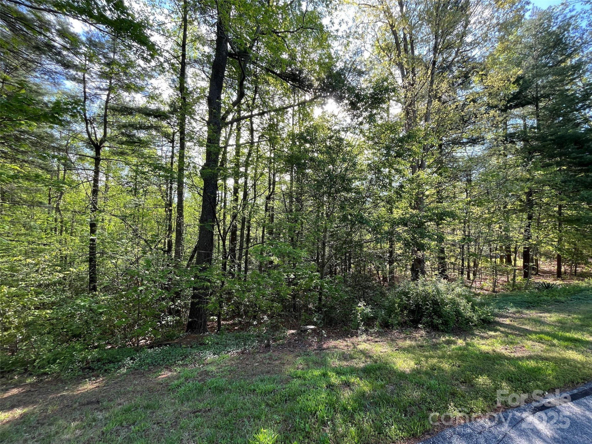 305 Freedom Trail Court #46 - Photo 4