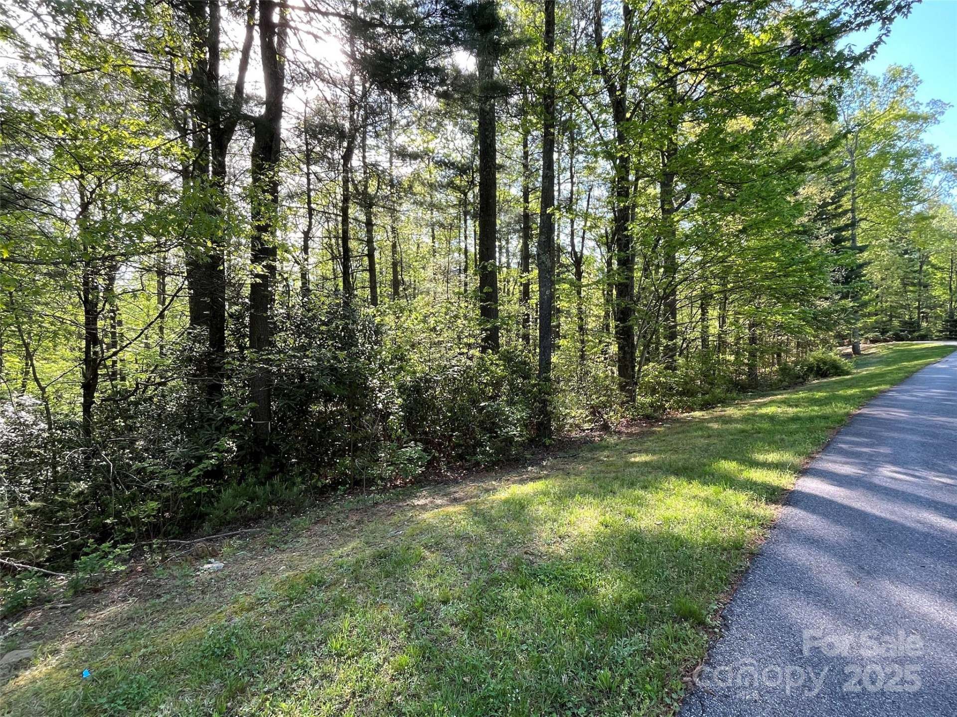 305 Freedom Trail Court #46 - Photo 5