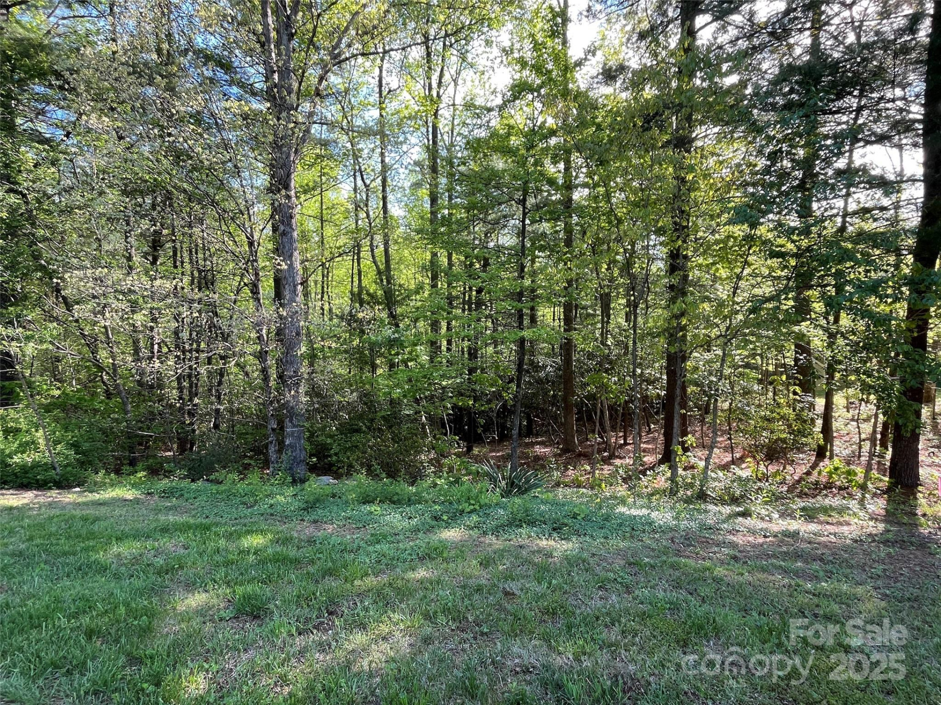 305 Freedom Trail Court #46 - Photo 6