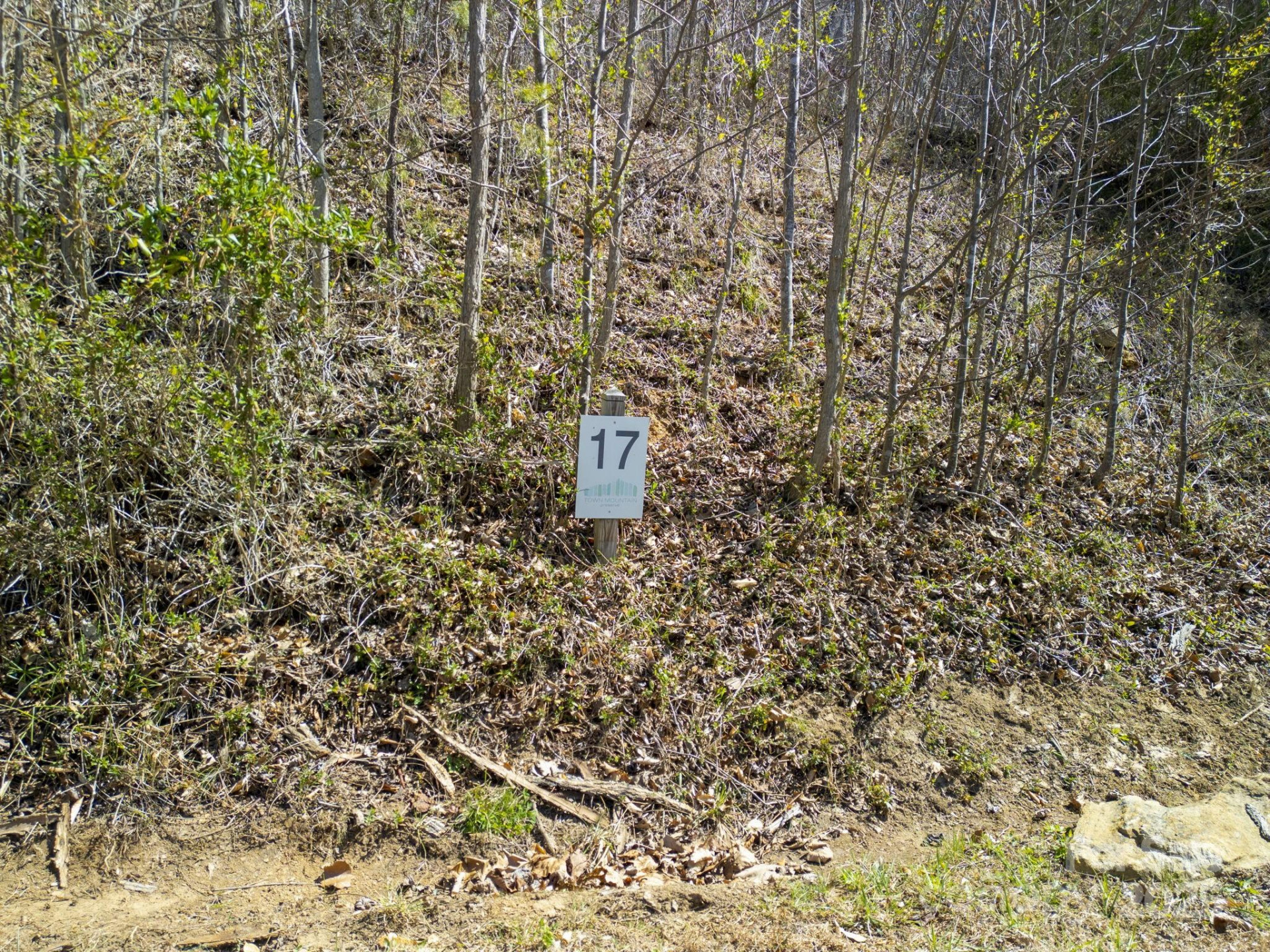 17 Franklin Trace Drive #17 - Photo 28