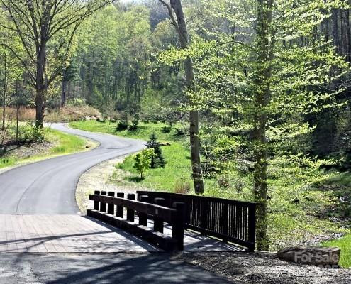 17 Franklin Trace Drive #17 - Photo 4