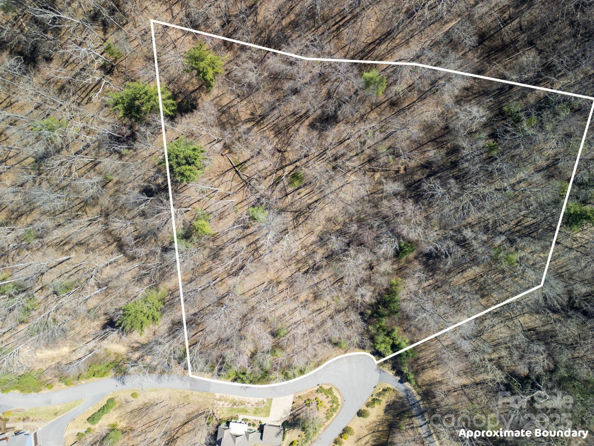 17 Franklin Trace Drive #17 - Photo 33