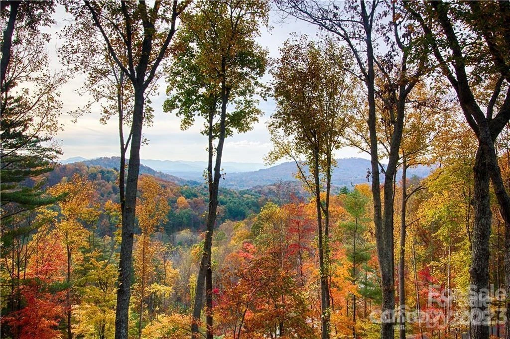 17 Franklin Trace Drive #17 - Photo 7