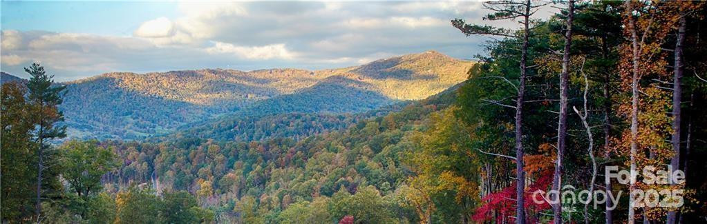 17 Franklin Trace Drive #17 - Photo 8