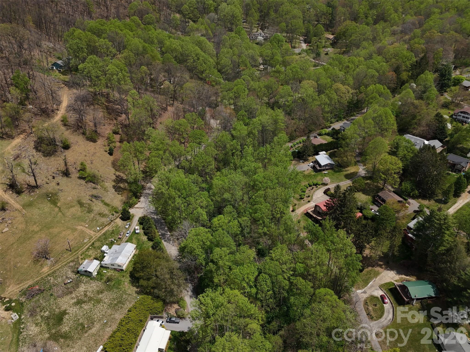 TBD (B) Browning Branch Road - Photo 11