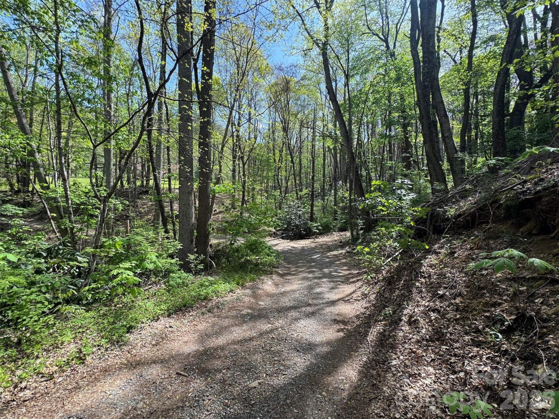 TBD (B) Browning Branch Road - Photo 13