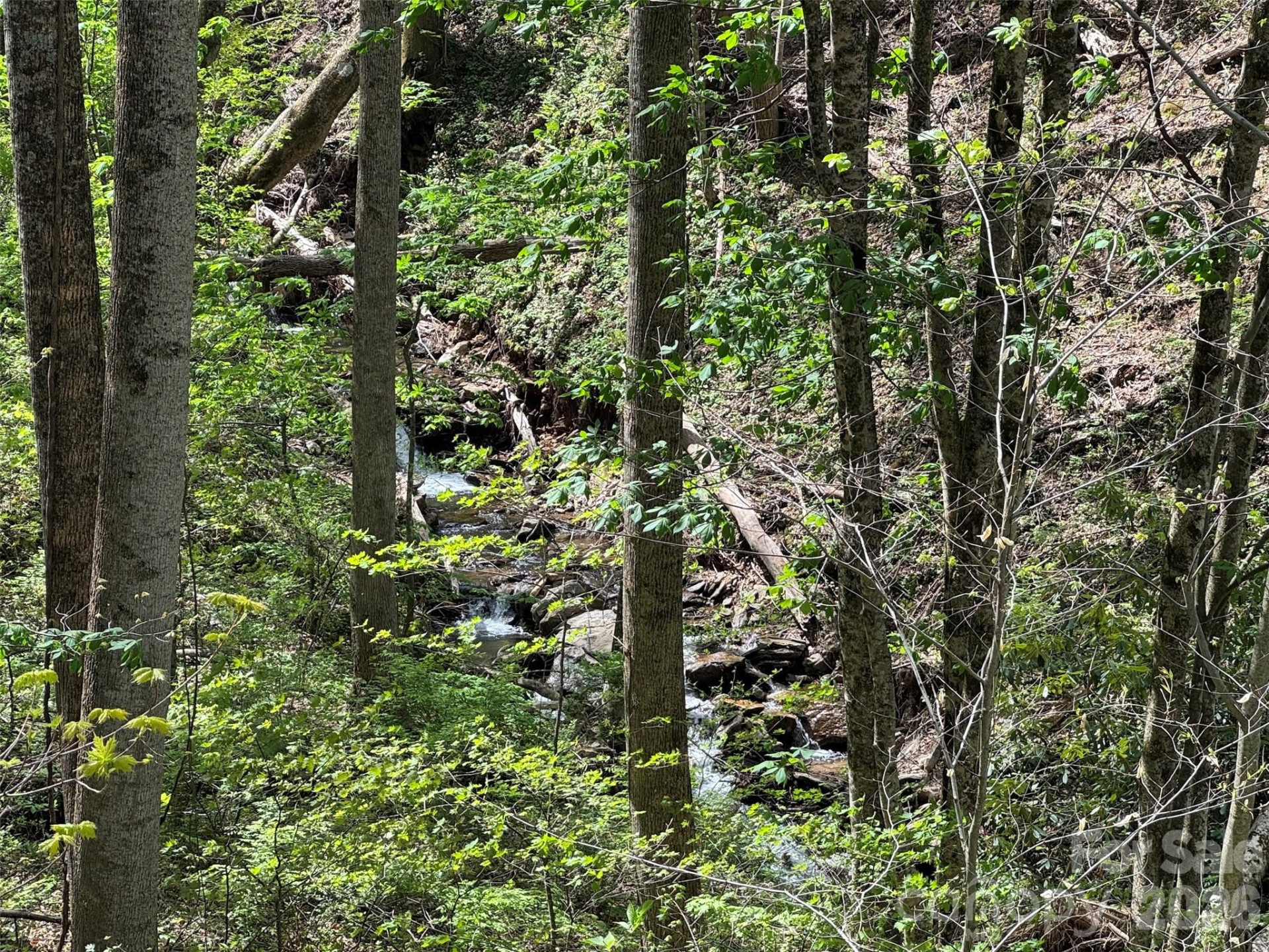 TBD (B) Browning Branch Road - Photo 14