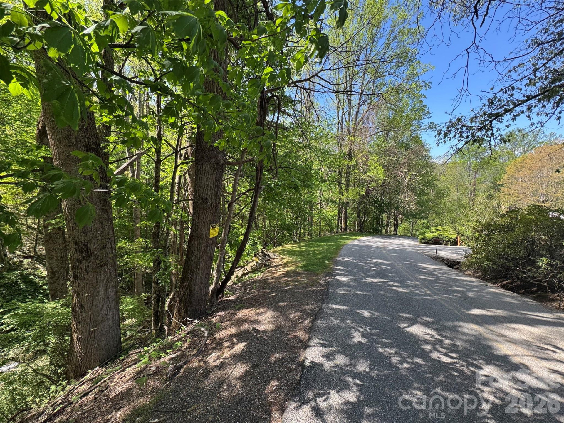 TBD (B) Browning Branch Road - Photo 15