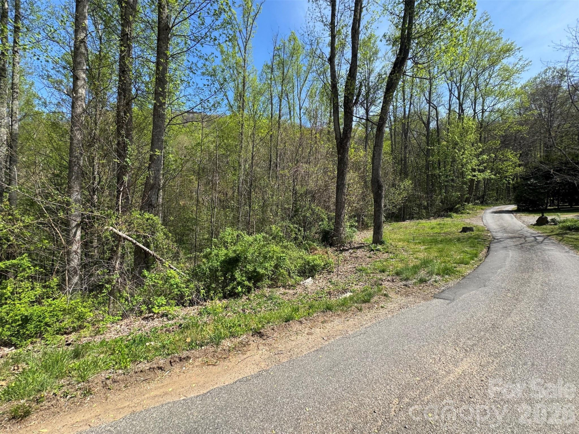 TBD (B) Browning Branch Road - Photo 3