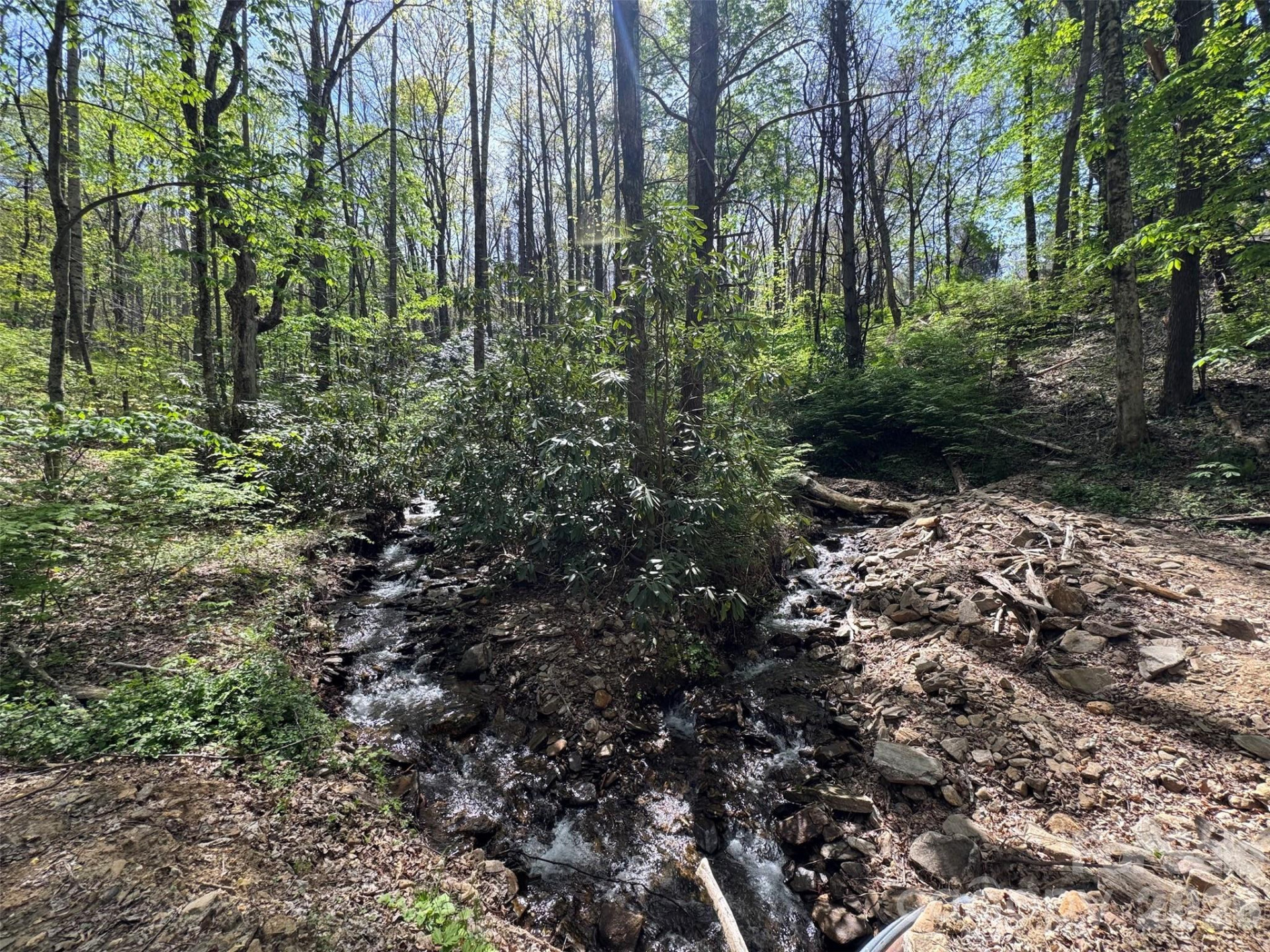 TBD (B) Browning Branch Road - Photo 4