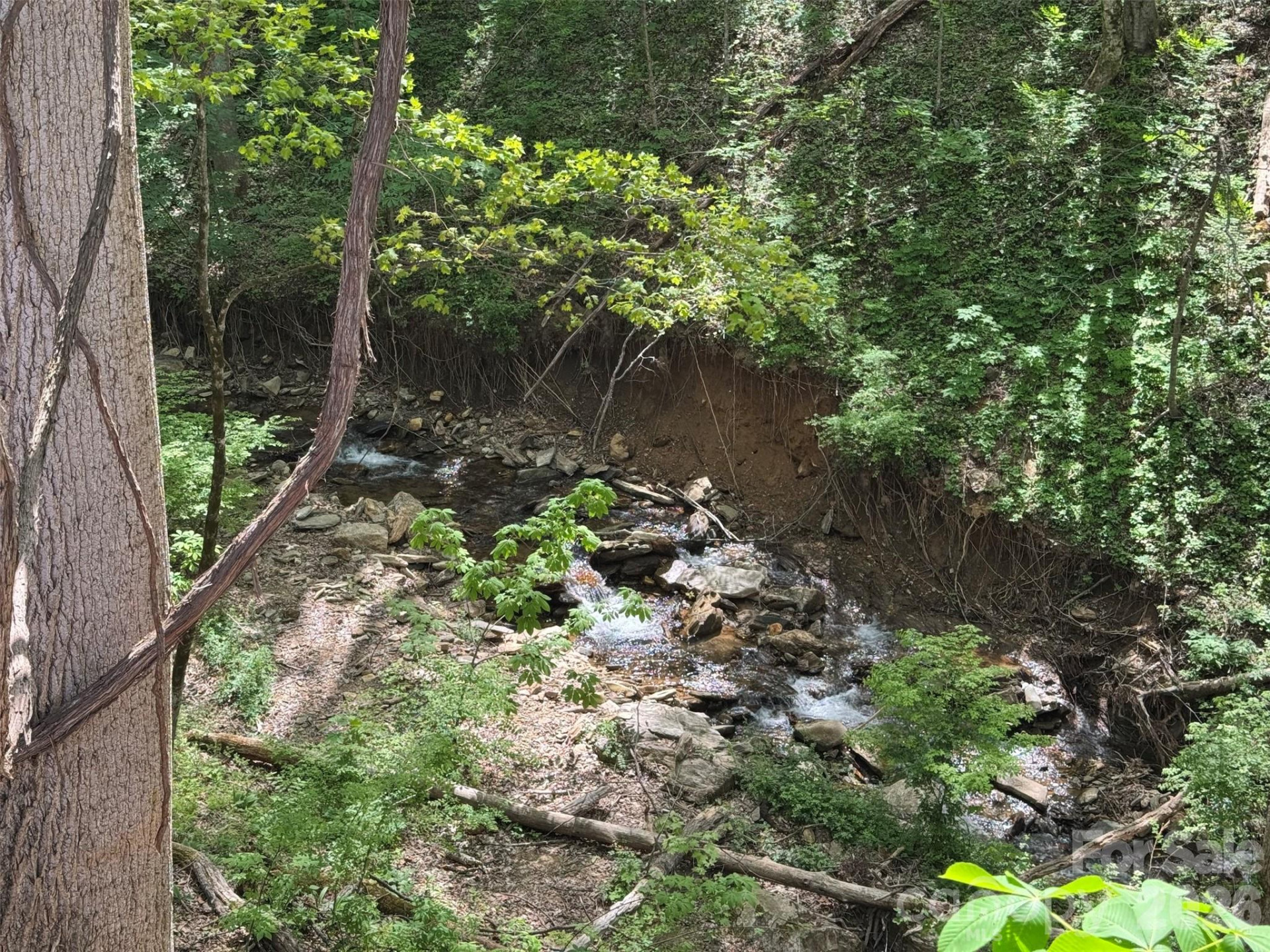 TBD (B) Browning Branch Road - Photo 7