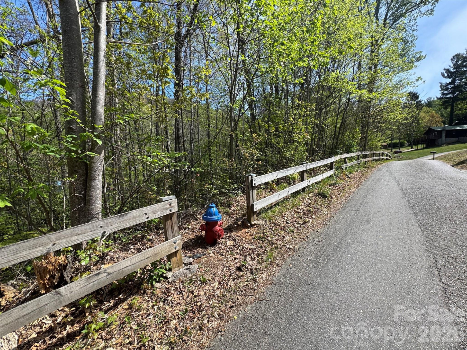 TBD (B) Browning Branch Road - Photo 8