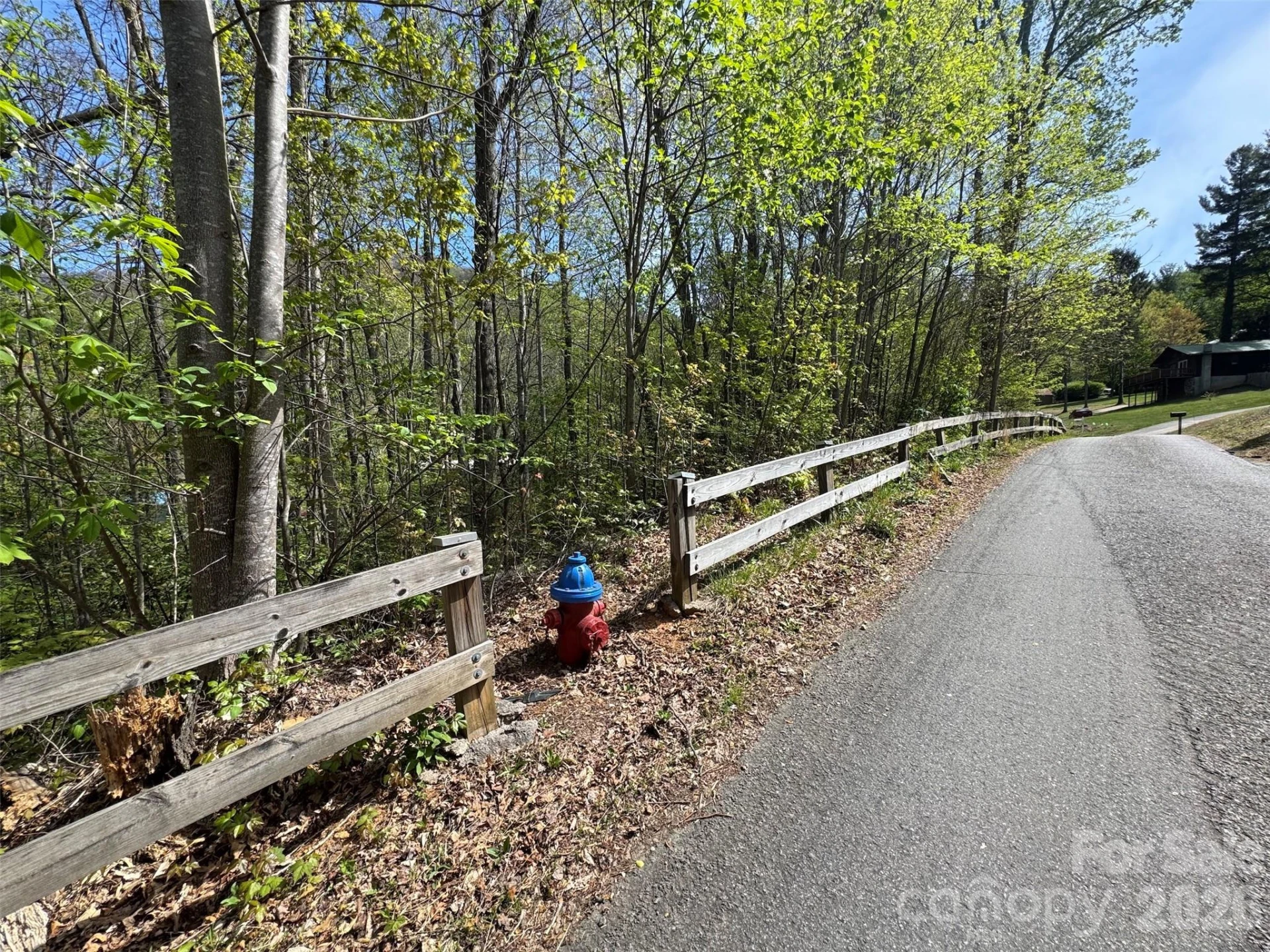 TBD (B) Browning Branch Road - Photo 8