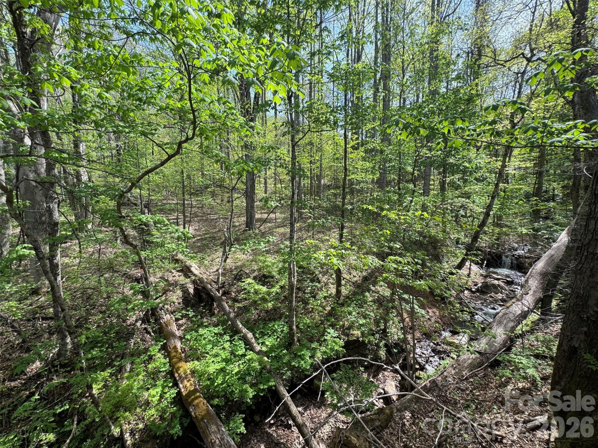 TBD (B) Browning Branch Road - Photo 10