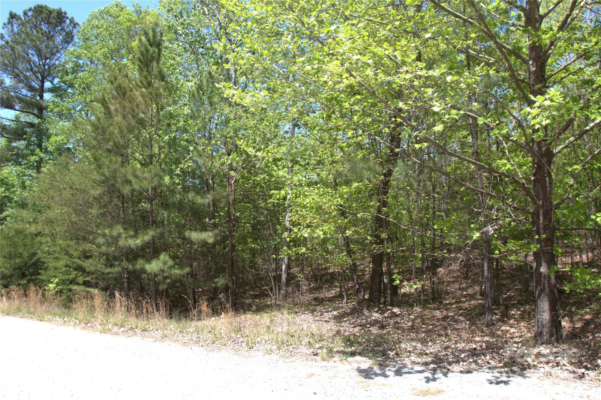 00 Dirksen Avenue #68 - Photo 6