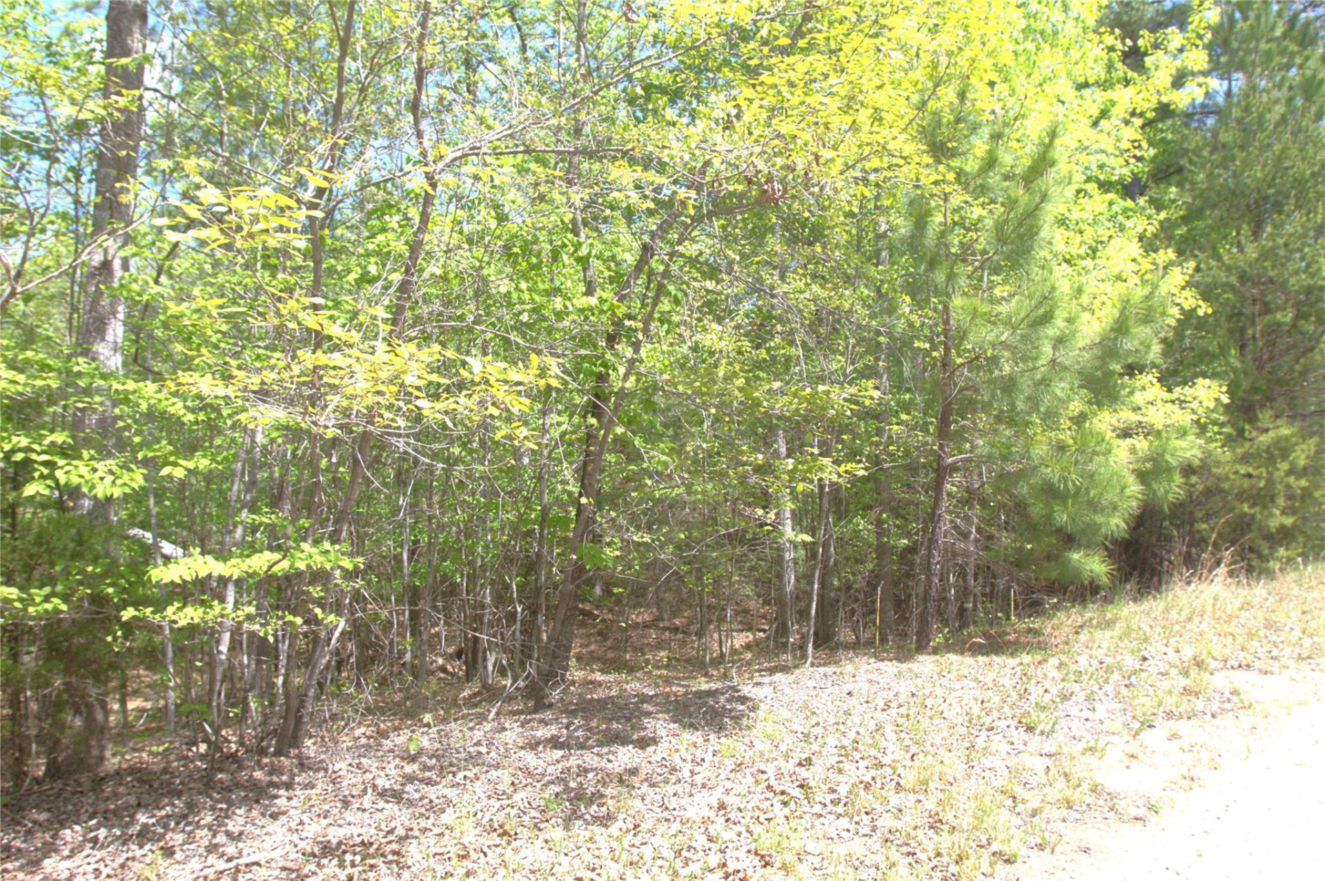 00 Dirksen Avenue #68 - Photo 7