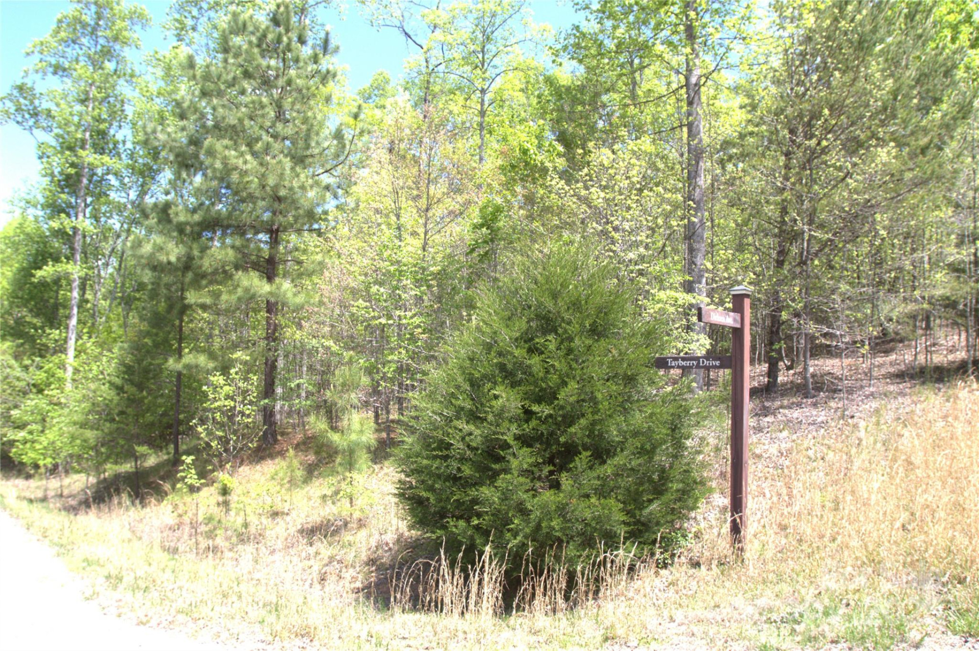 00 Dirksen Avenue #68 - Photo 8