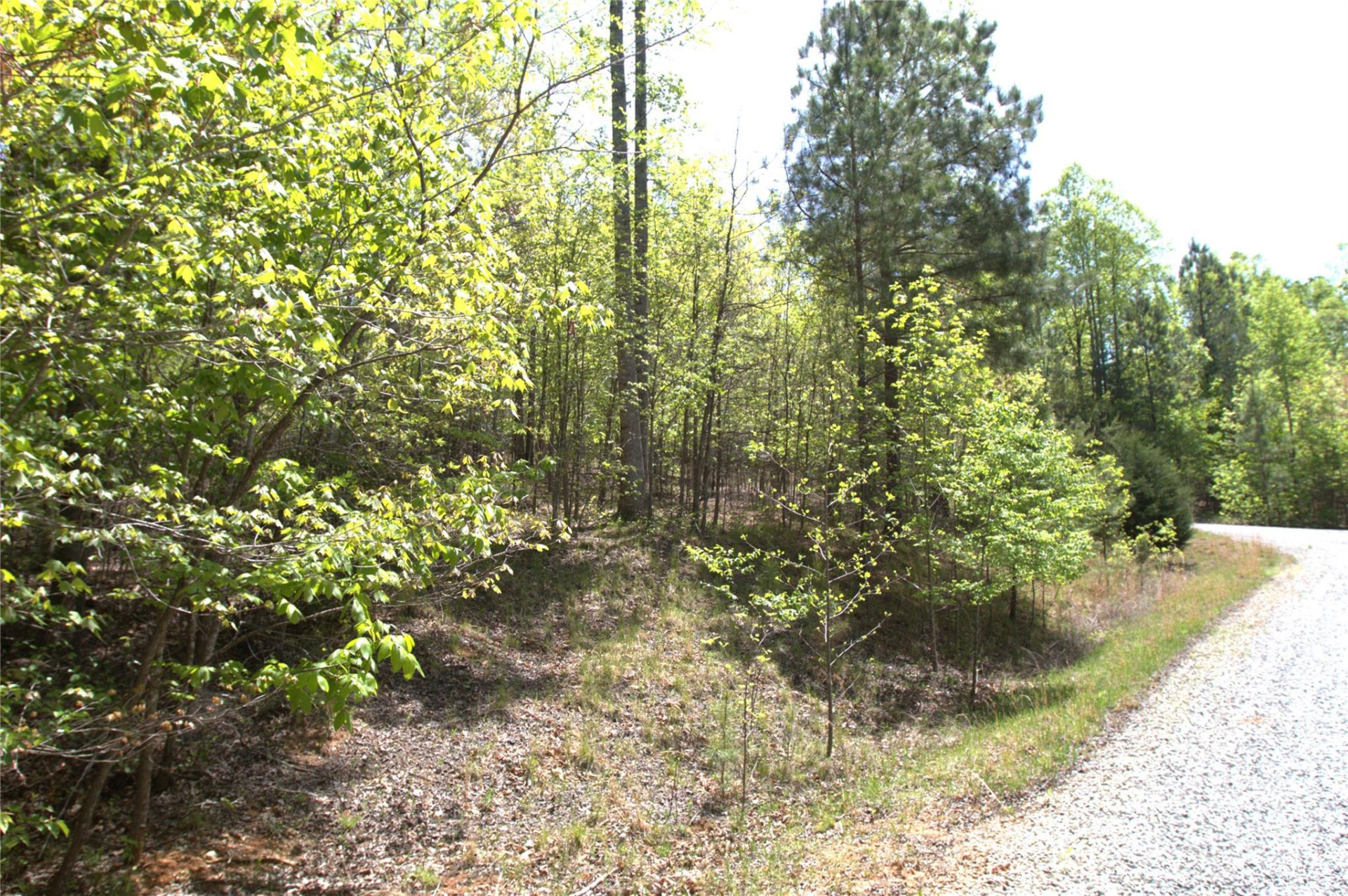 00 Dirksen Avenue #68 - Photo 9