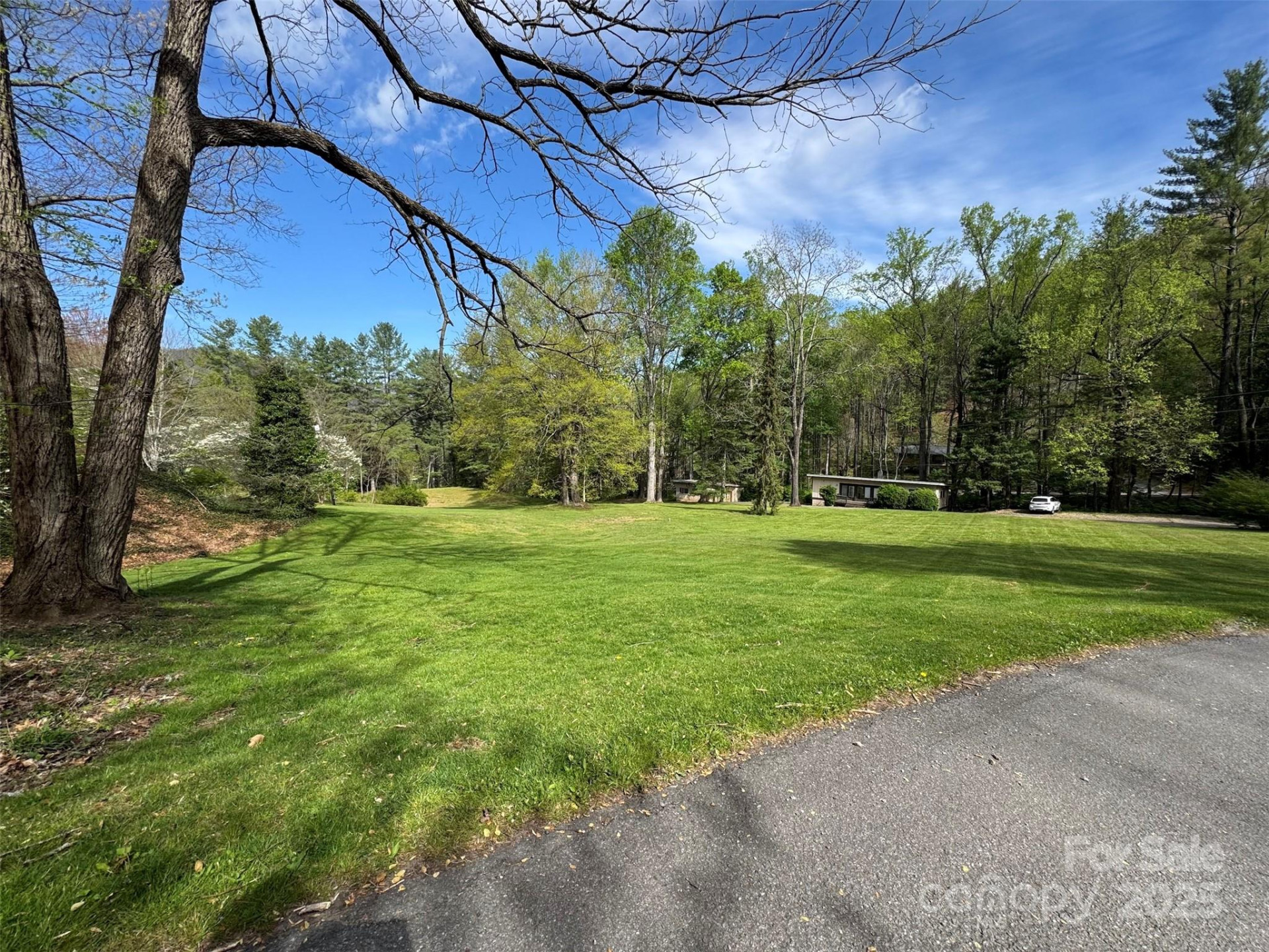 TBD (A) Chestnut Walk Drive - Photo 13