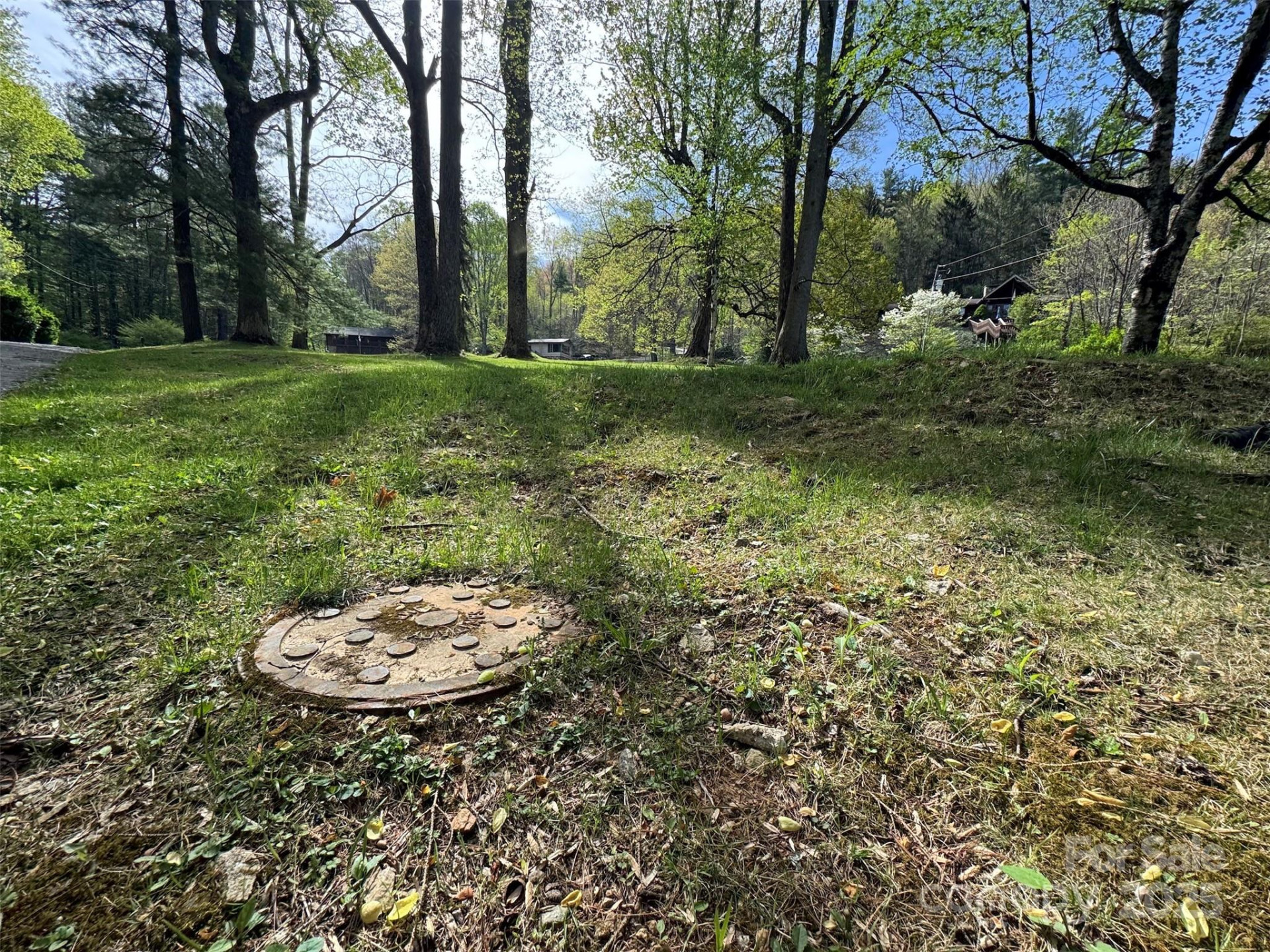 TBD (A) Chestnut Walk Drive - Photo 14