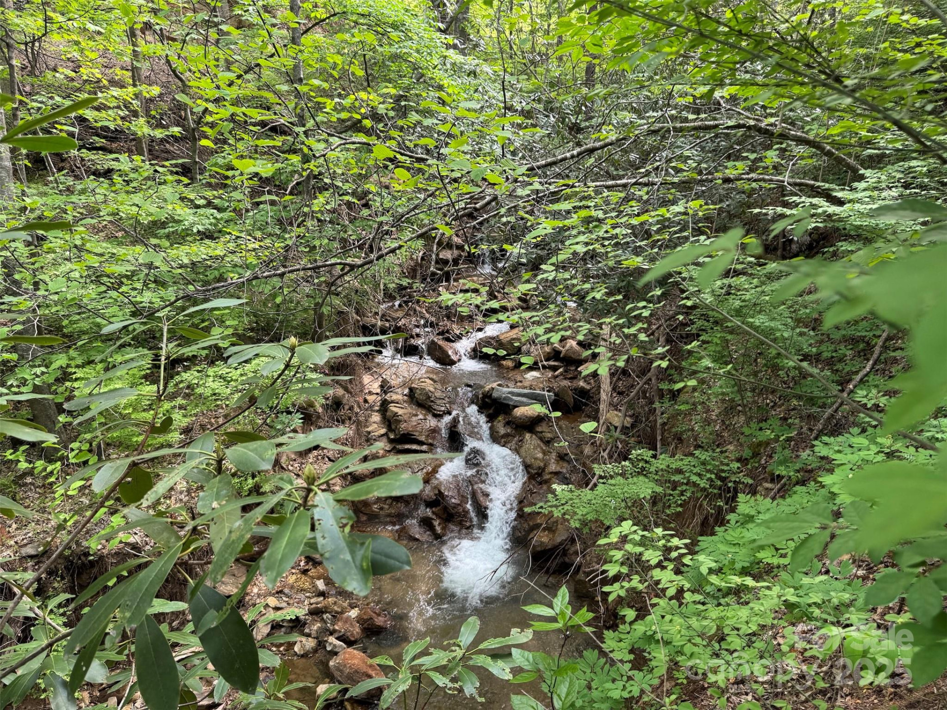 TBD (A) Chestnut Walk Drive - Photo 21