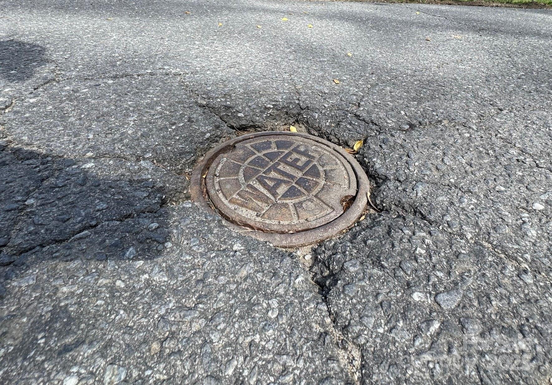 TBD (A) Chestnut Walk Drive - Photo 27