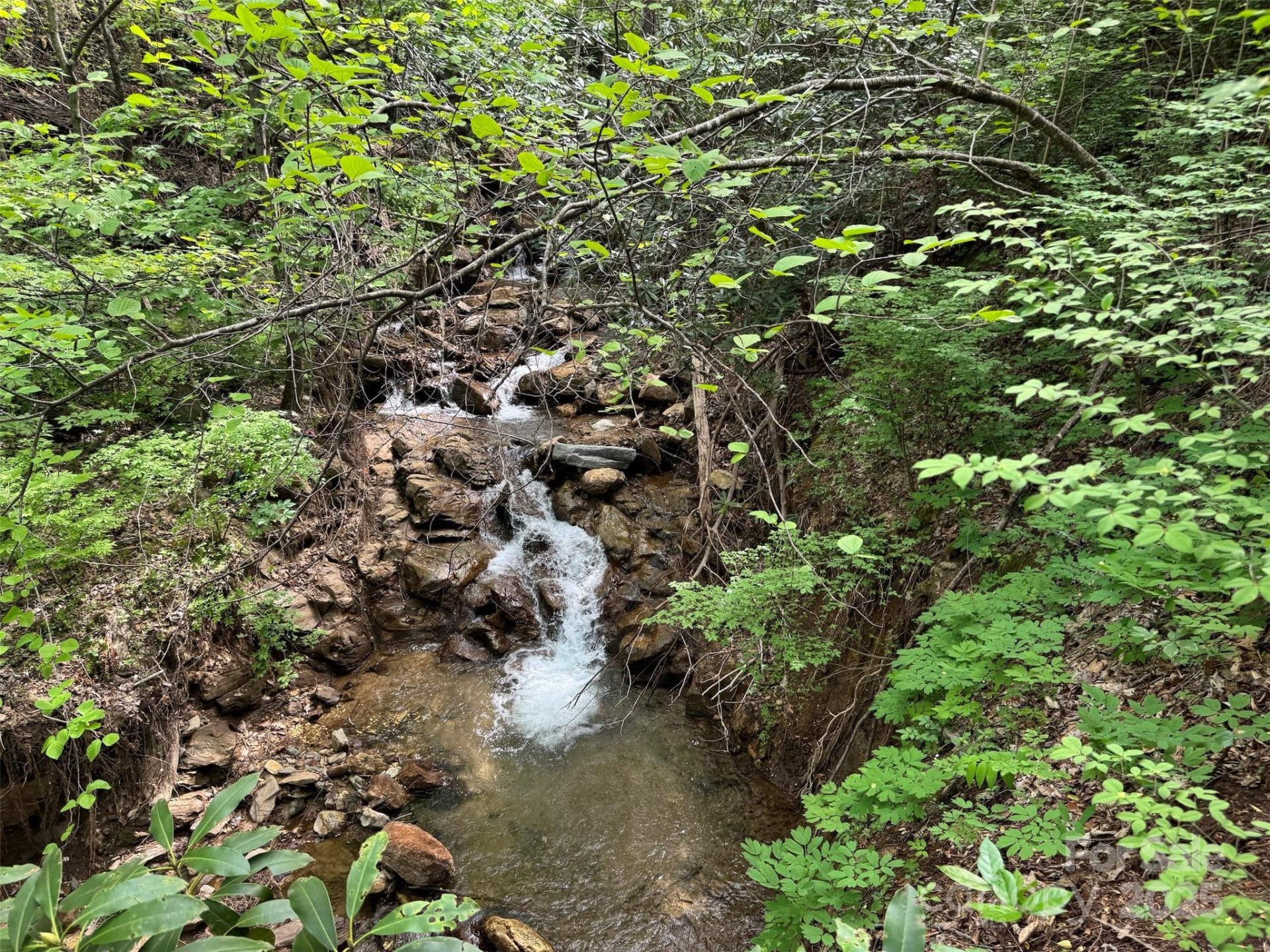 TBD (A) Chestnut Walk Drive - Photo 7