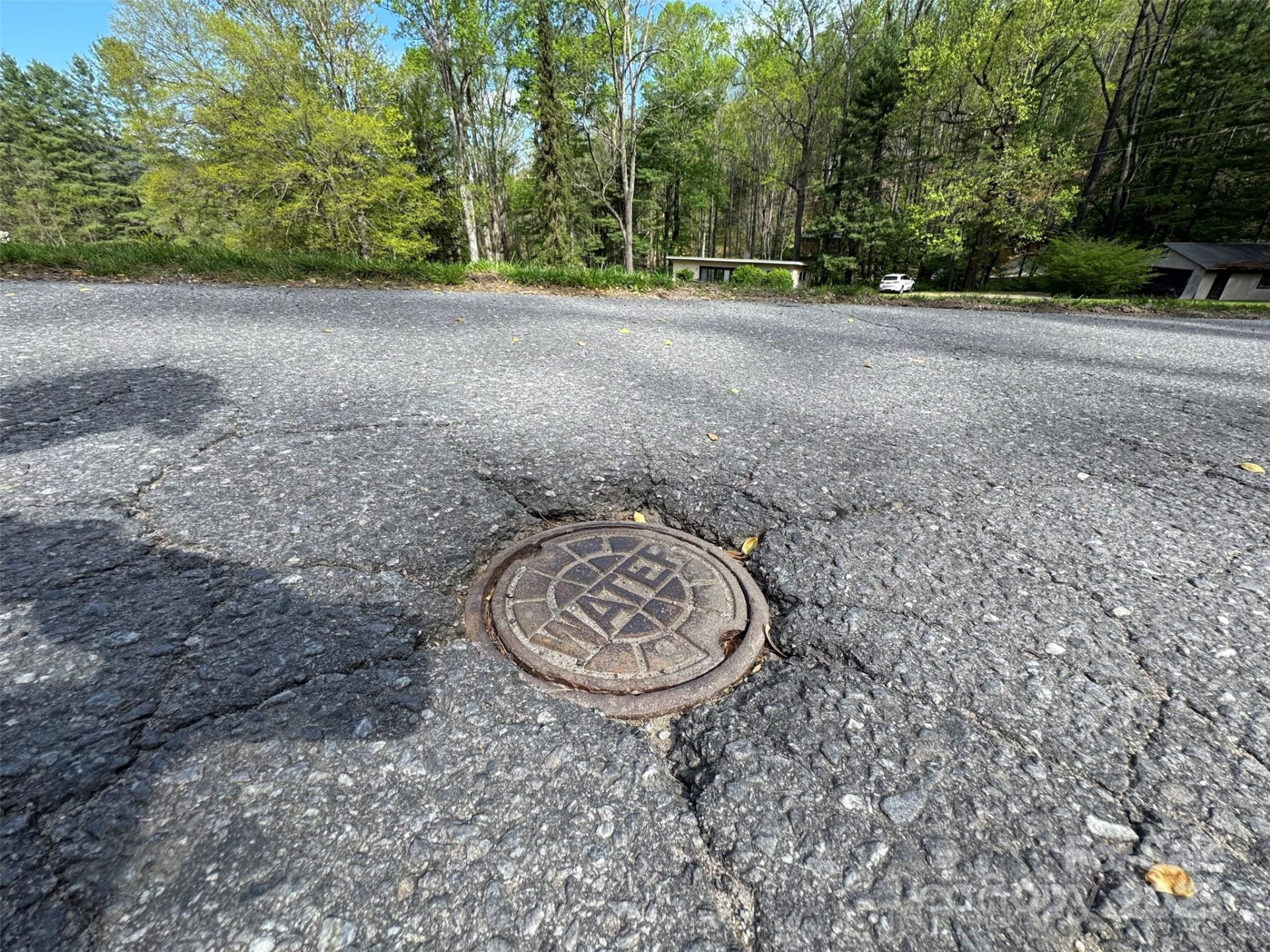 TBD (A) Chestnut Walk Drive - Photo 9