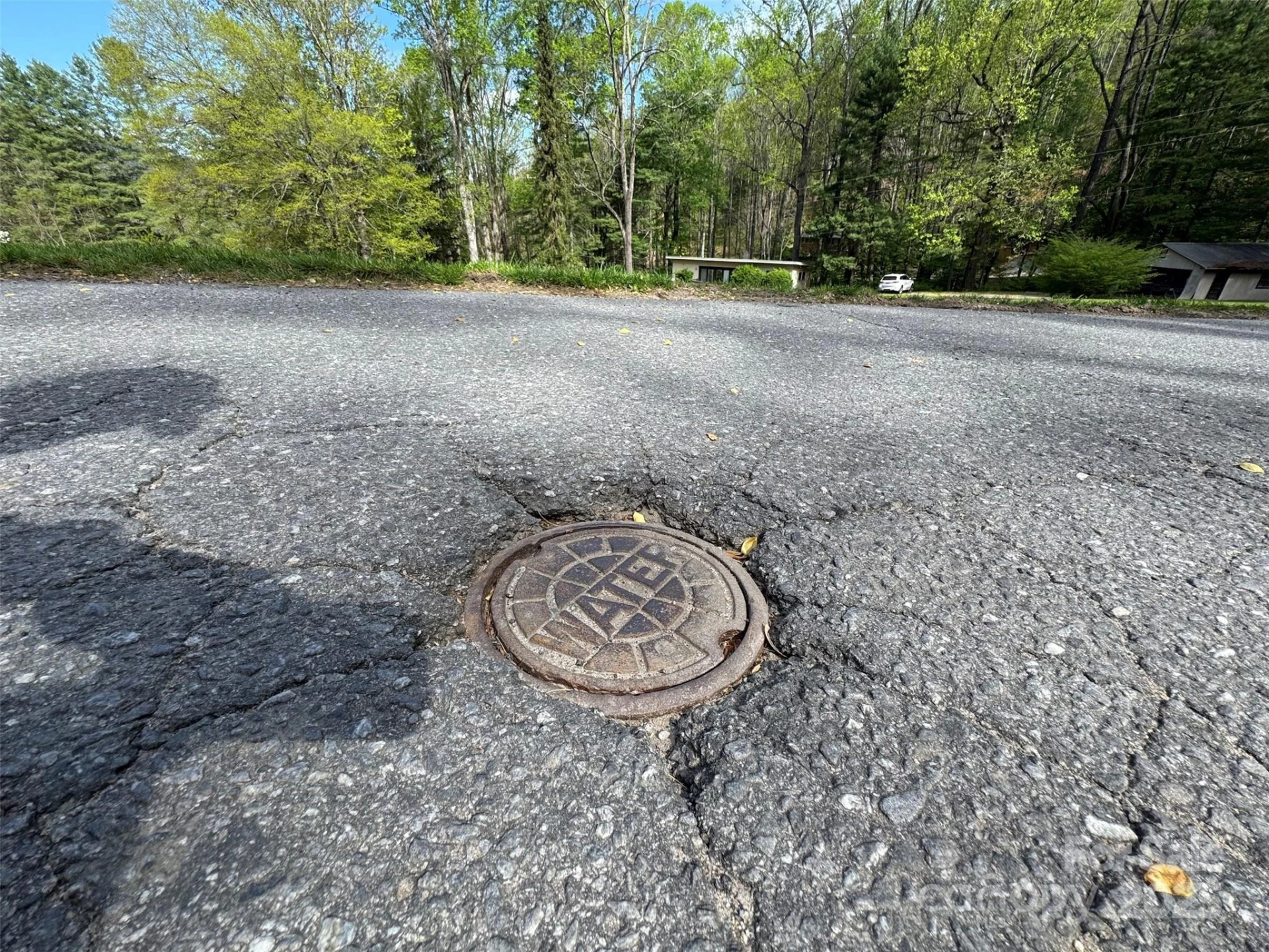 TBD (A) Chestnut Walk Drive - Photo 9