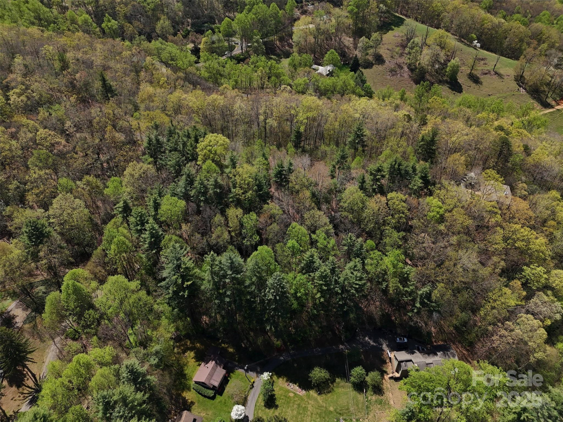 TBD (D) Chestnut Walk Drive - Photo 12