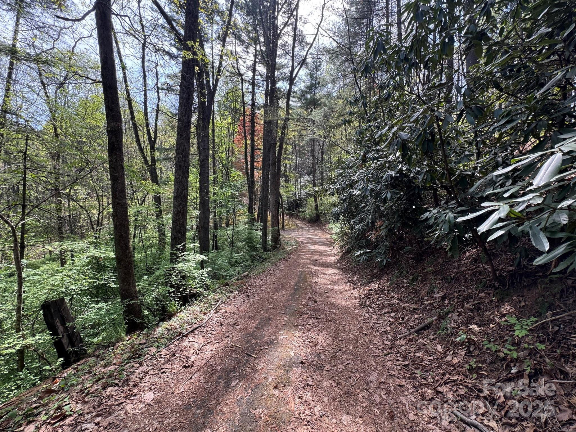 TBD (D) Chestnut Walk Drive - Photo 16