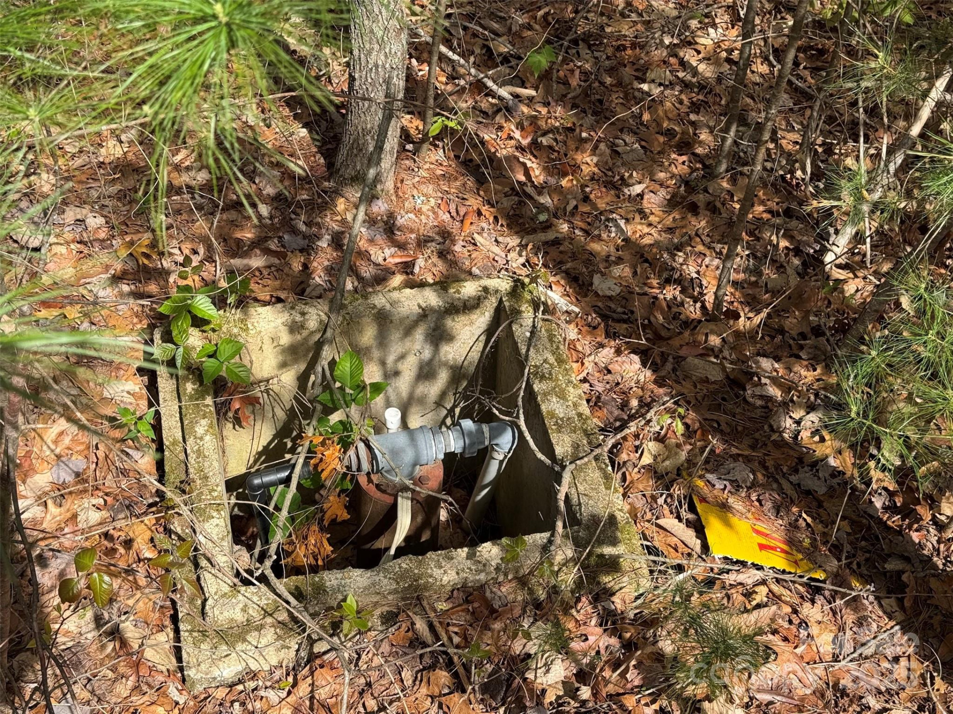 TBD (D) Chestnut Walk Drive - Photo 17