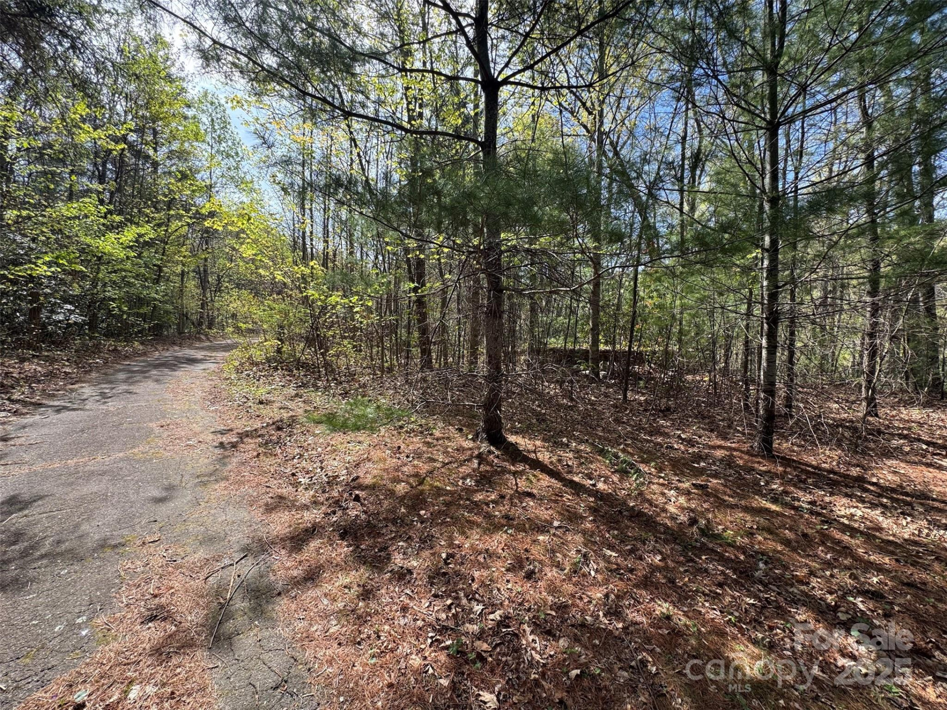 TBD (D) Chestnut Walk Drive - Photo 19