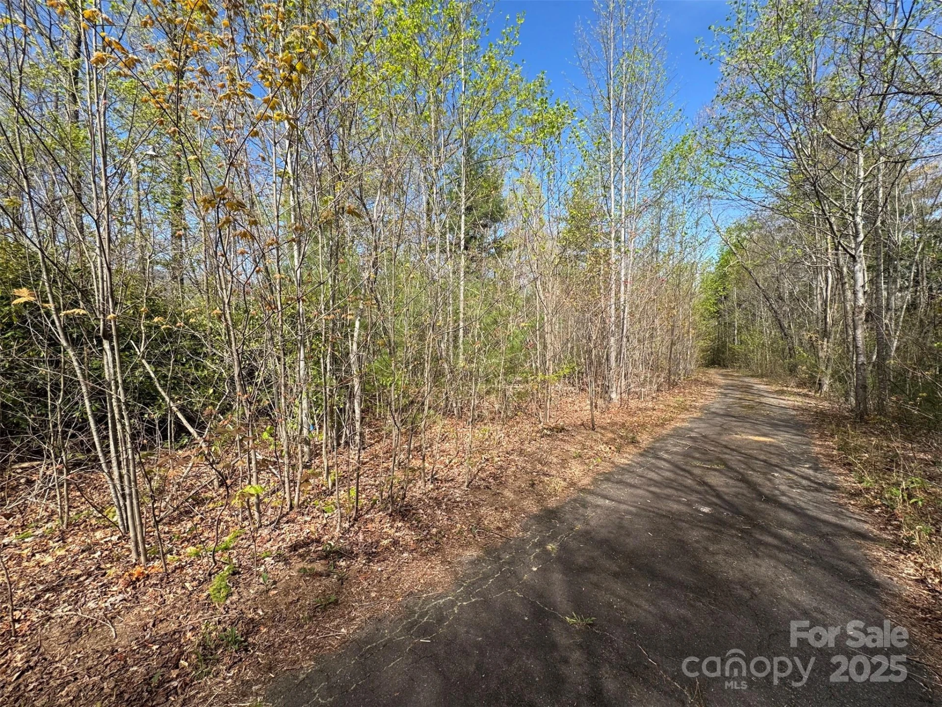 TBD (D) Chestnut Walk Drive - Photo 3