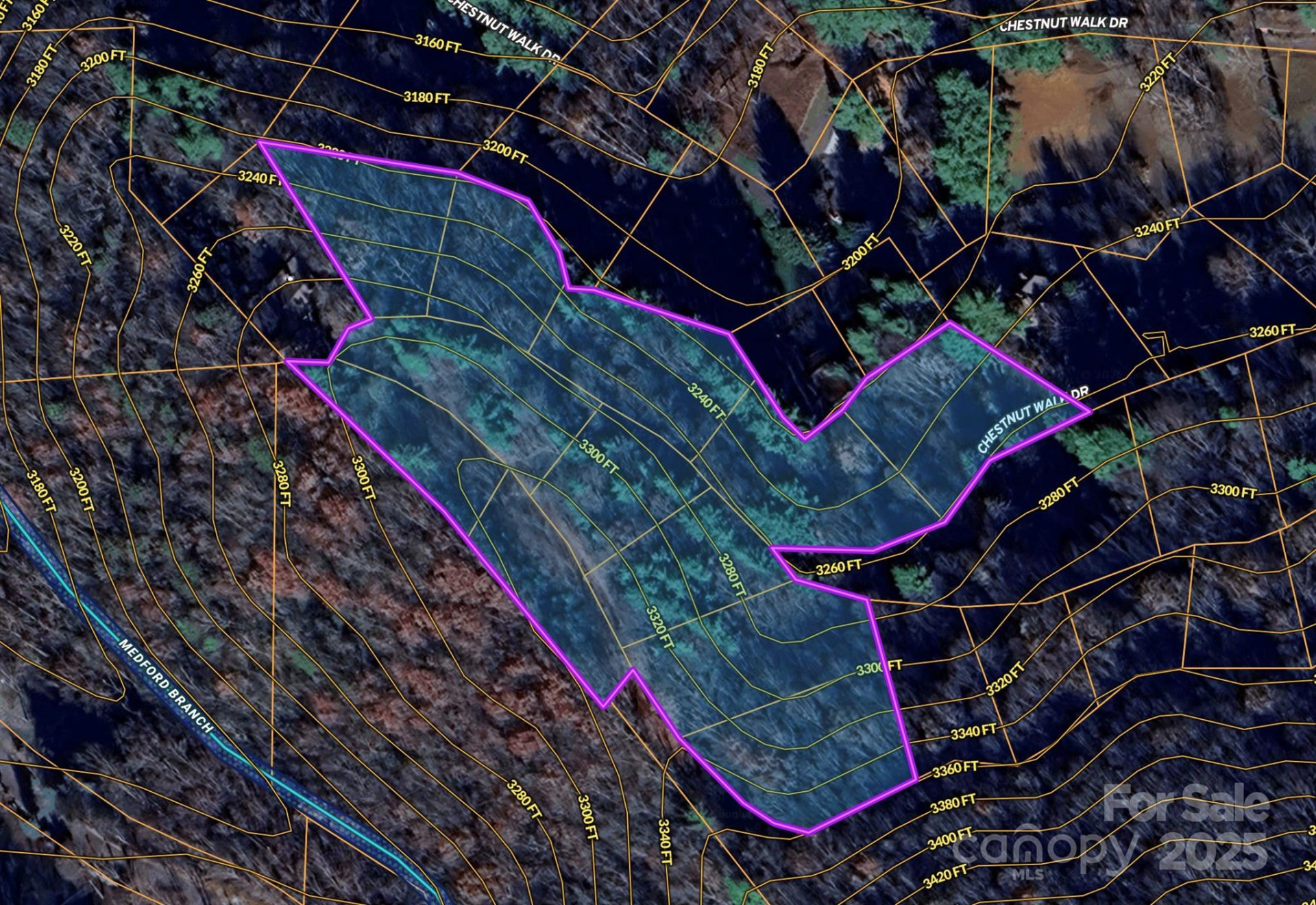 TBD (D) Chestnut Walk Drive - Photo 21