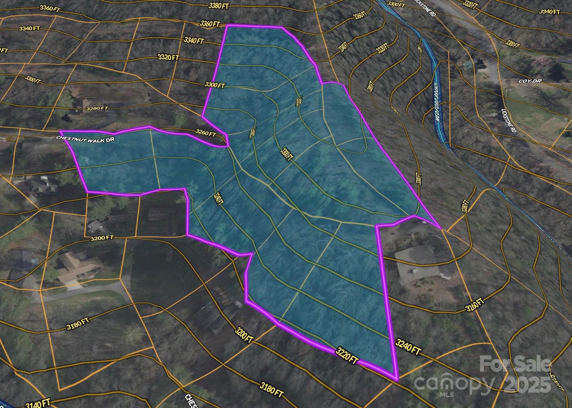 TBD (D) Chestnut Walk Drive - Photo 22