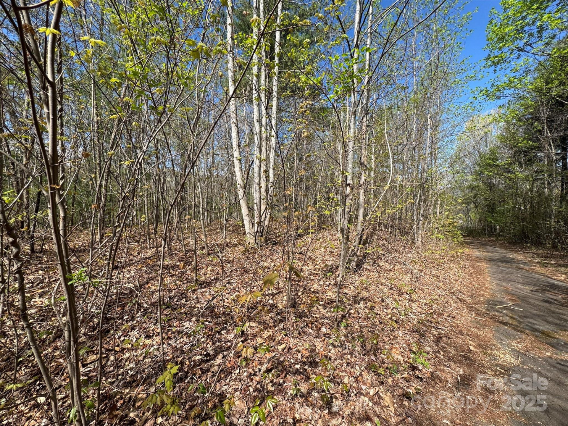 TBD (D) Chestnut Walk Drive - Photo 5