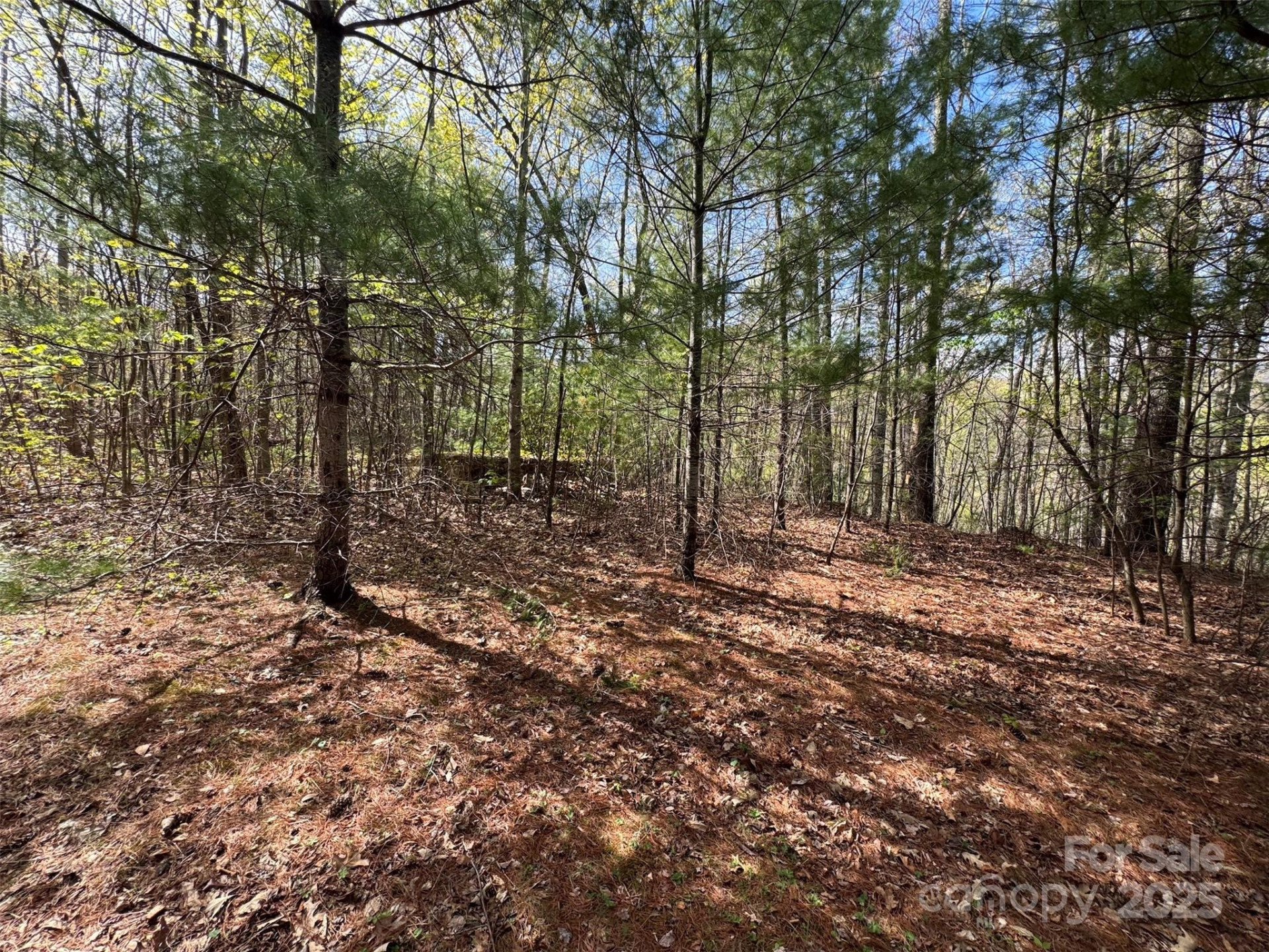 TBD (D) Chestnut Walk Drive - Photo 6