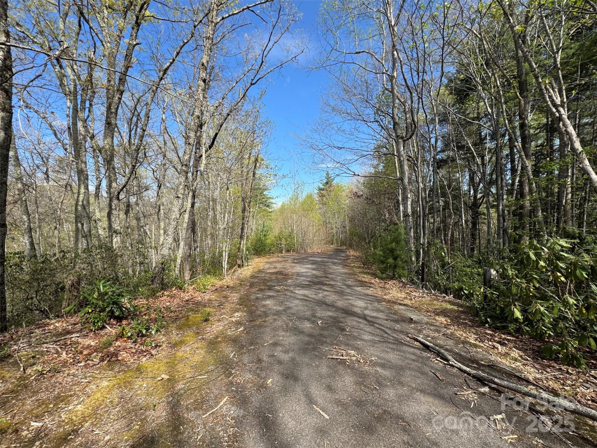 TBD (D) Chestnut Walk Drive - Photo 7