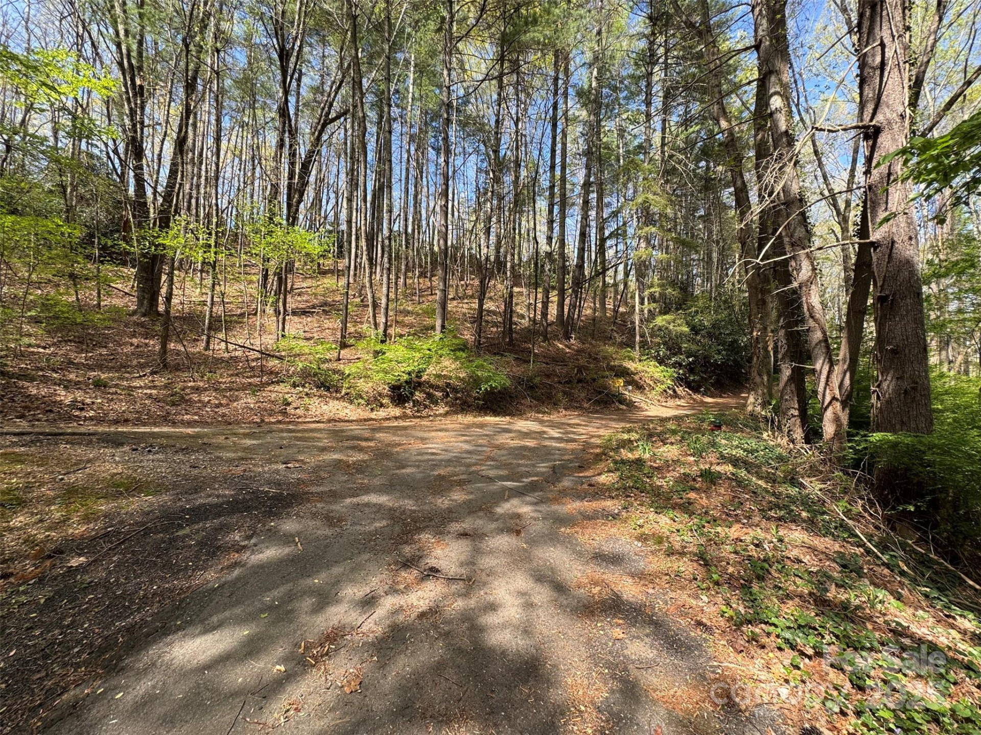 TBD (D) Chestnut Walk Drive - Photo 8