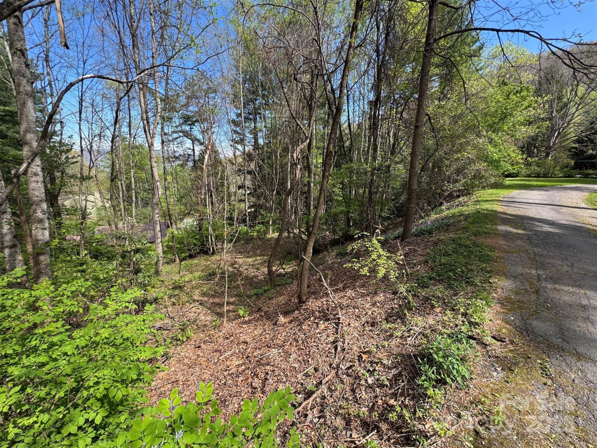 TBD (D) Chestnut Walk Drive - Photo 9