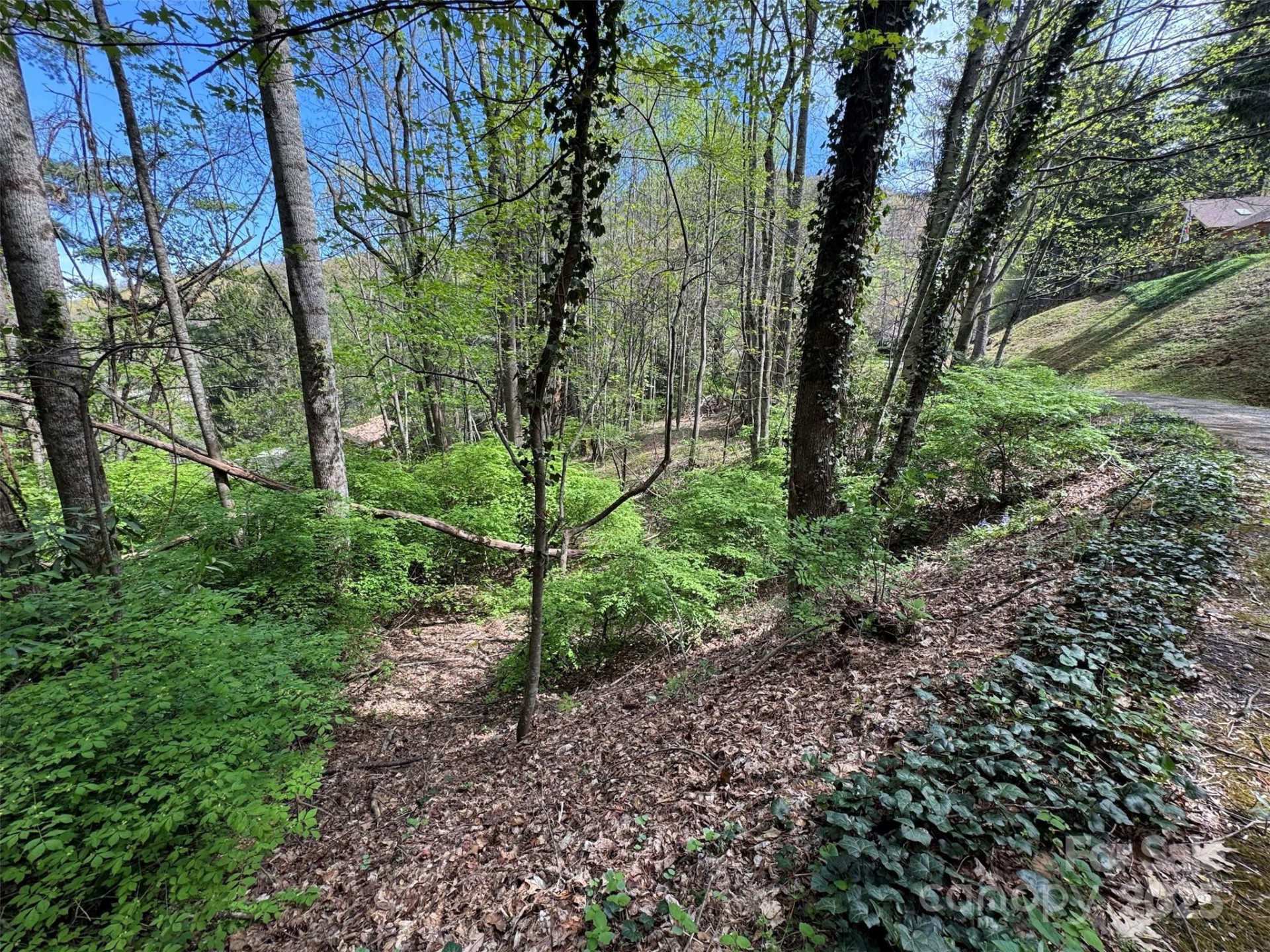 TBD (D) Chestnut Walk Drive - Photo 10