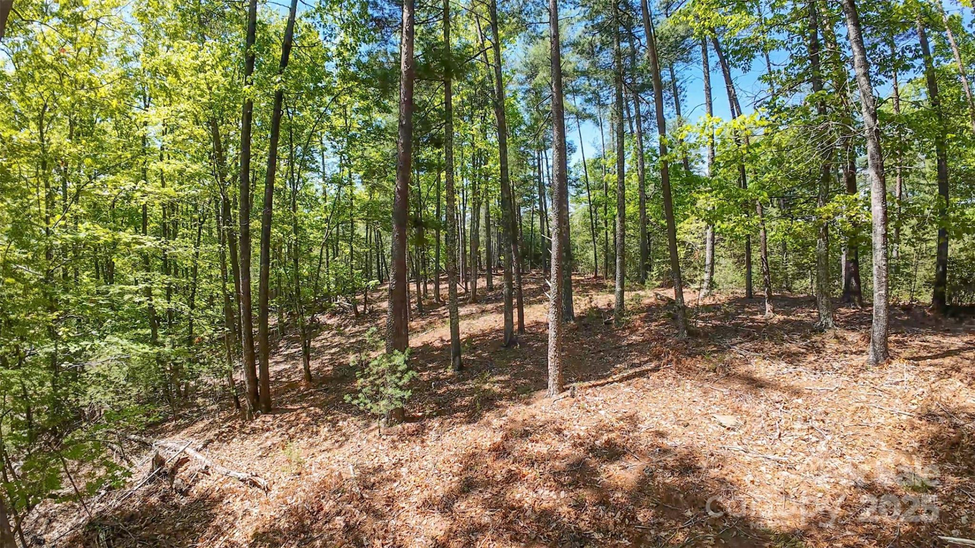 46 Osprey Roost Drive - Photo 2