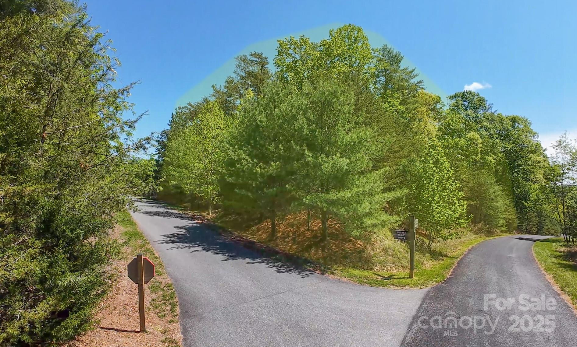 46 Osprey Roost Drive - Photo 9