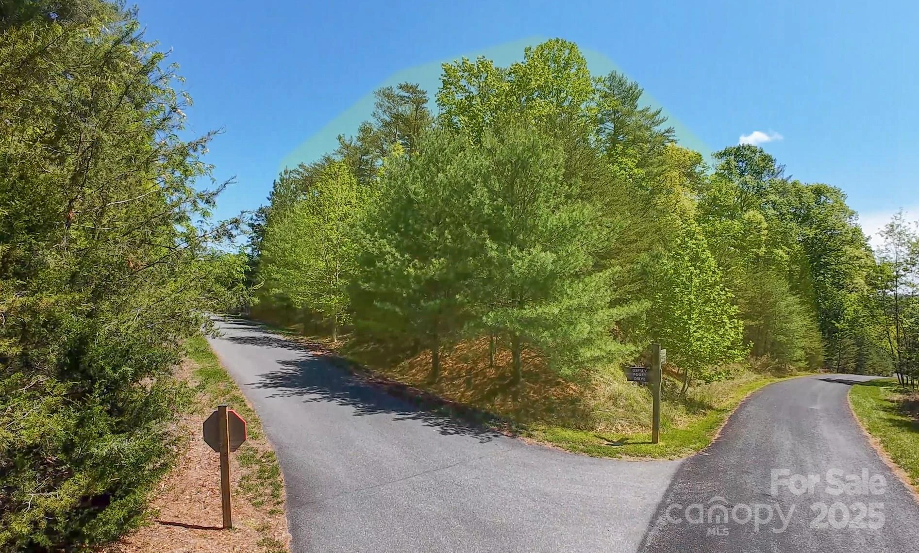 46 Osprey Roost Drive - Photo 9
